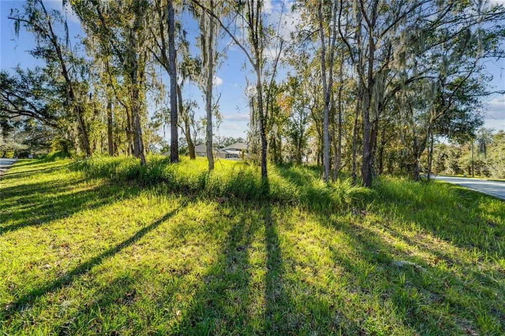 For Sale: $160,000 (0.86 acres)