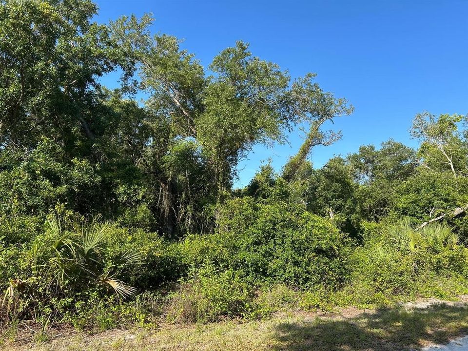 For Sale: $70,000 (0.92 acres)