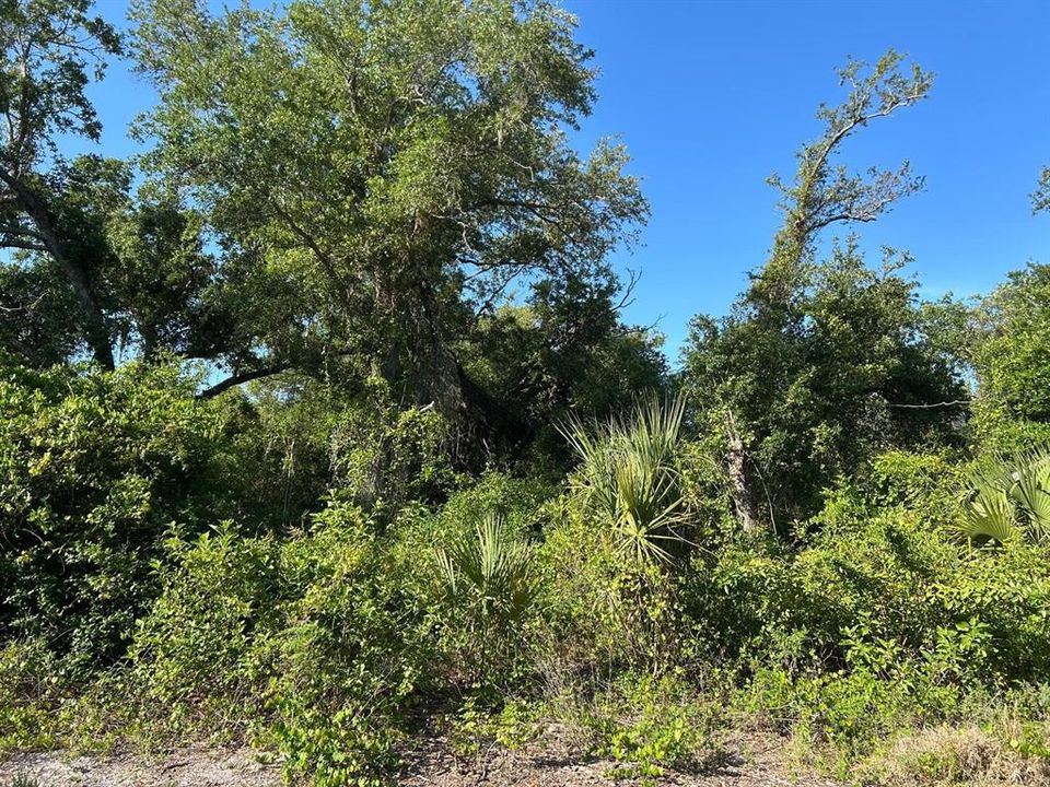 For Sale: $70,000 (0.92 acres)