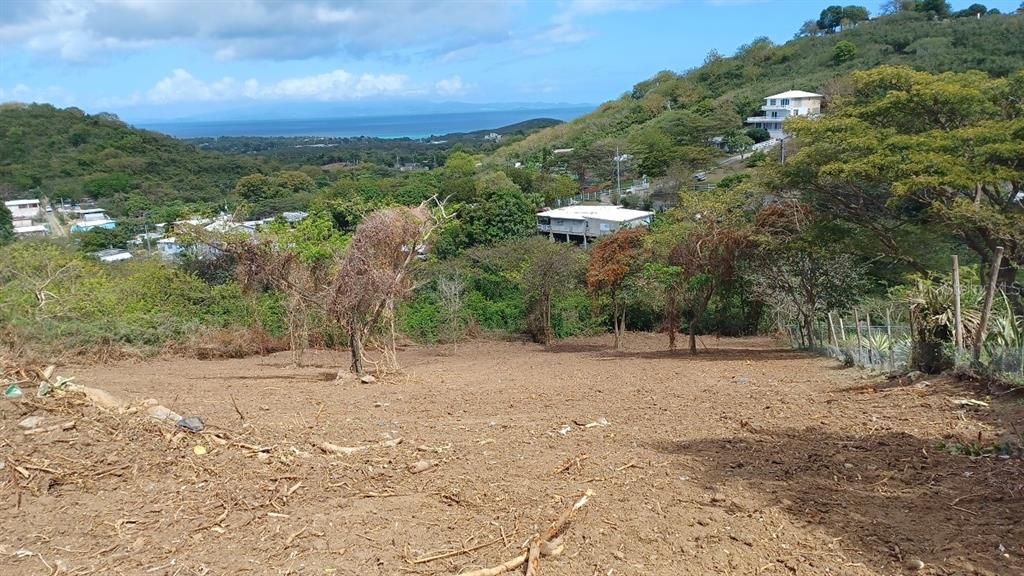 For Sale: $100,000 (1.50 acres)