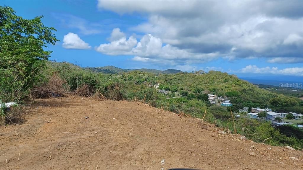 For Sale: $100,000 (1.50 acres)