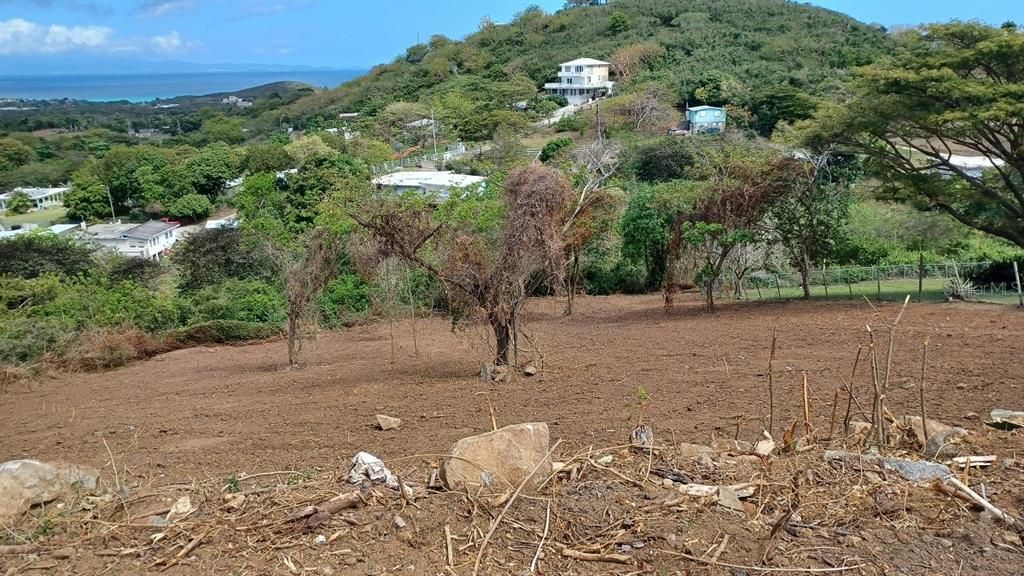 For Sale: $100,000 (1.50 acres)