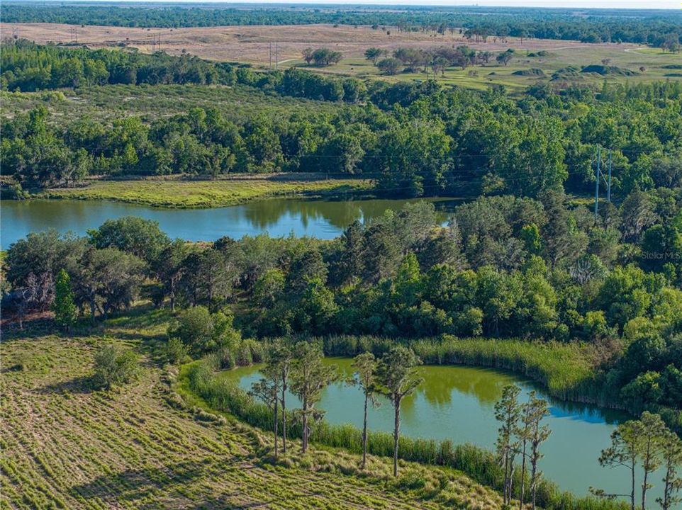 For Sale: $3,500,000 (107.00 acres)