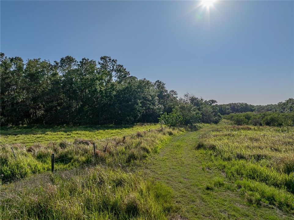 For Sale: $3,500,000 (107.00 acres)