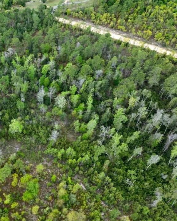 На продажу: $15,499 (2.12 acres)