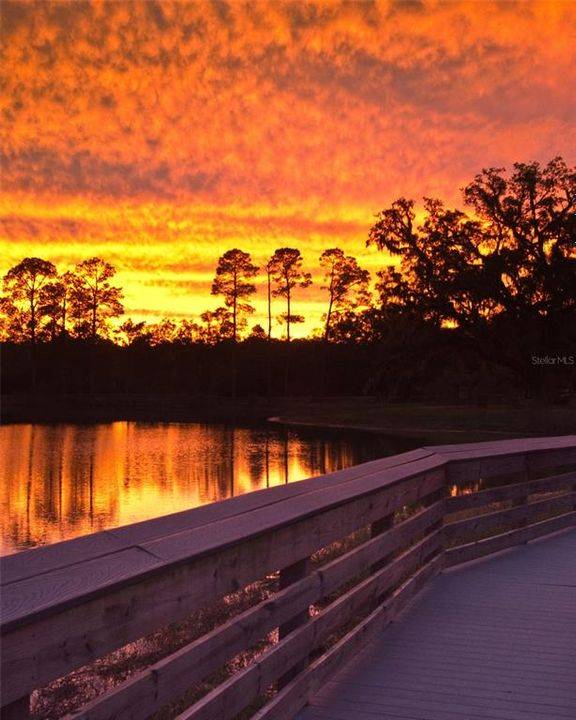 На продажу: $15,499 (2.12 acres)