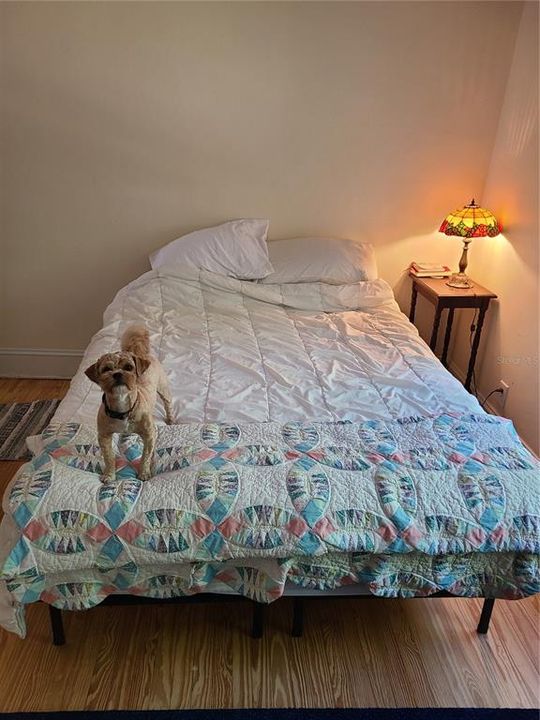 En Renta: $1,500 (2 camas, 1 baños, 1213 Pies cuadrados)