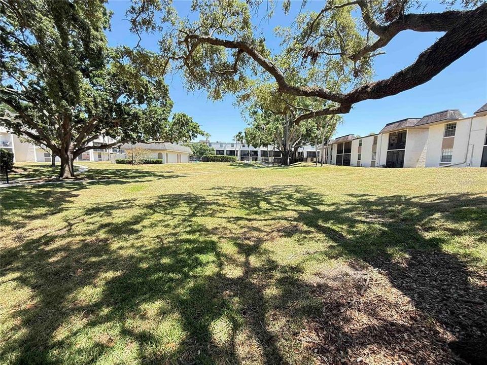 待售: $125,000 (1 贝兹, 1 浴室, 763 平方英尺)