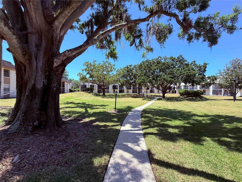 待售: $125,000 (1 贝兹, 1 浴室, 763 平方英尺)