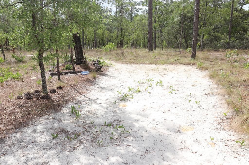 Недавно продано: $10,500 (0.25 acres)