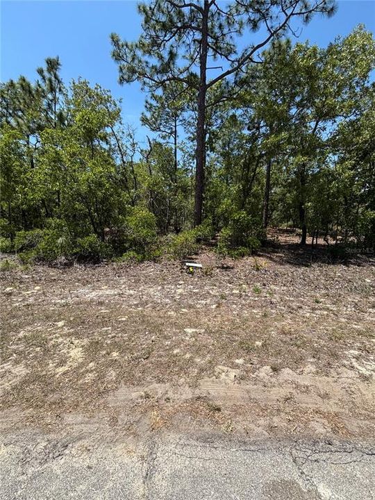 最近售出: $23,900 (0.23 acres)