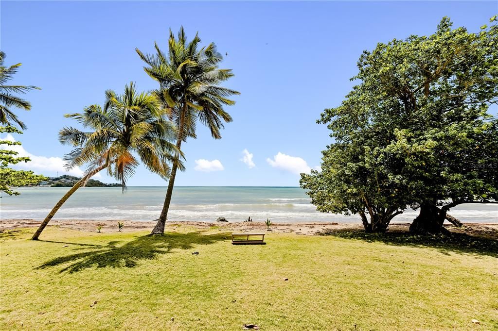 For Sale: $265,000 (3 beds, 2 baths, 0 Square Feet)