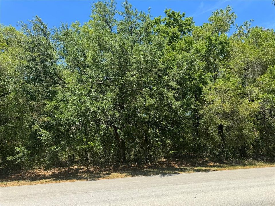 For Sale: $5,000,000 (8.99 acres)