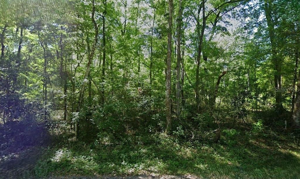 Recently Sold: $26,000 (0.92 acres)