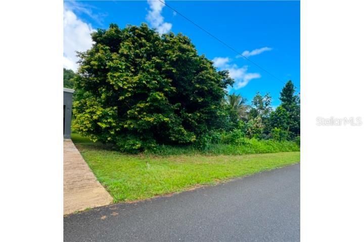 Recently Sold: $45,000 (0.22 acres)