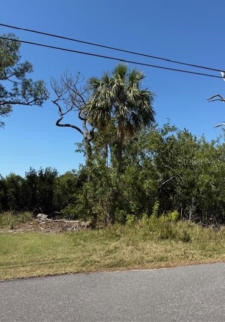 For Sale: $149,000 (0.23 acres)