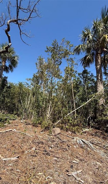 For Sale: $149,000 (0.23 acres)