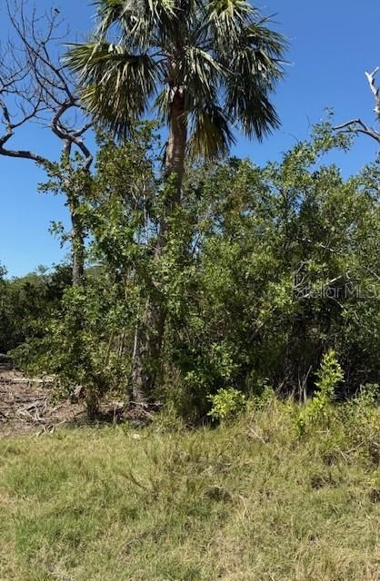 For Sale: $149,000 (0.23 acres)