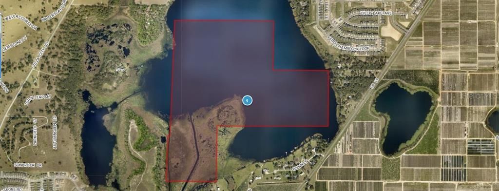 En Venta: $3,000,000 (218.71 acres)