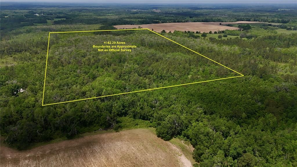 Vendido Recientemente: $99,000 (82.29 acres)