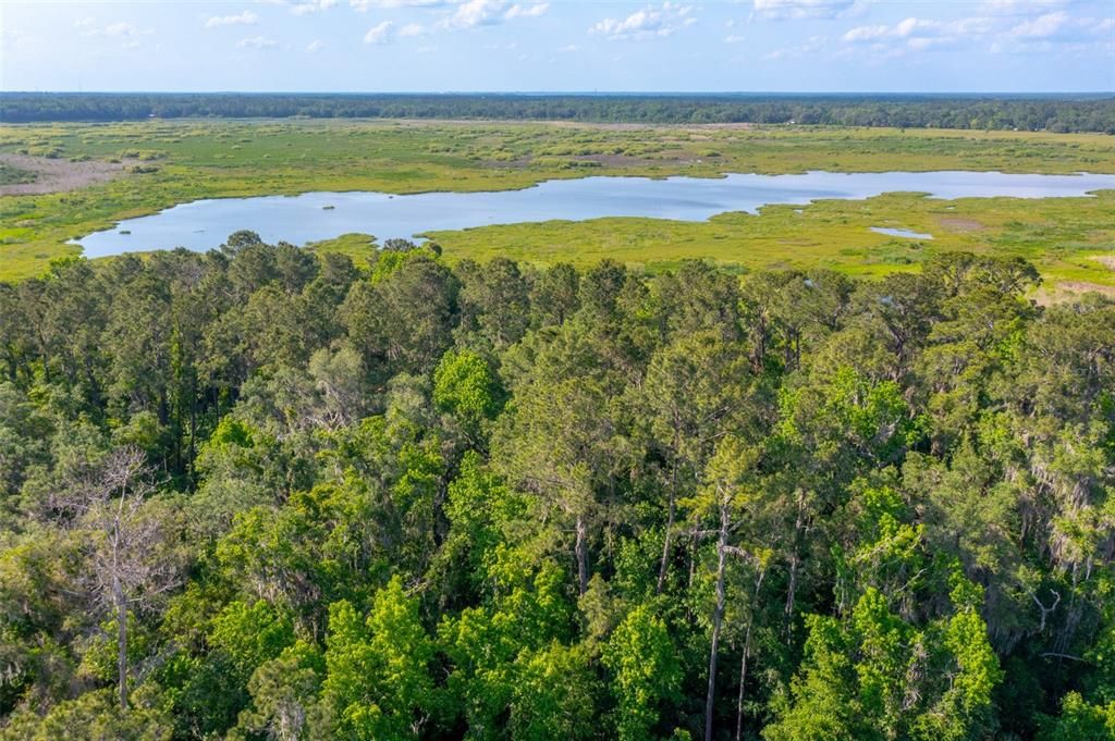 Welcome to Tuscawilla Lake Estates