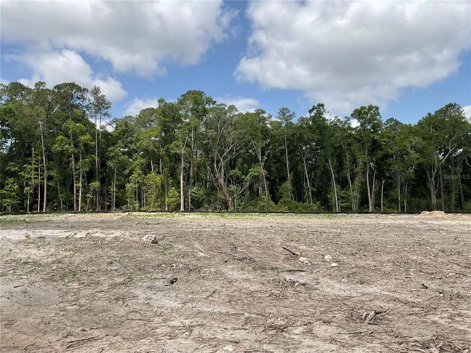 Active With Contract: $349,000 (4.00 acres)