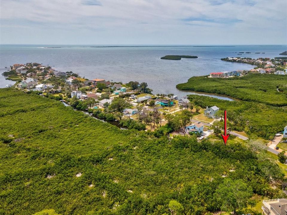 На продажу: $70,000 (0.51 acres)