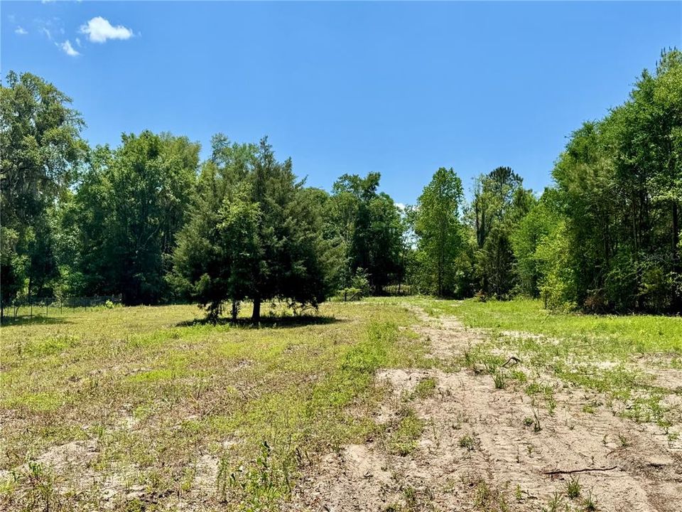 待售: $246,700 (7.49 acres)