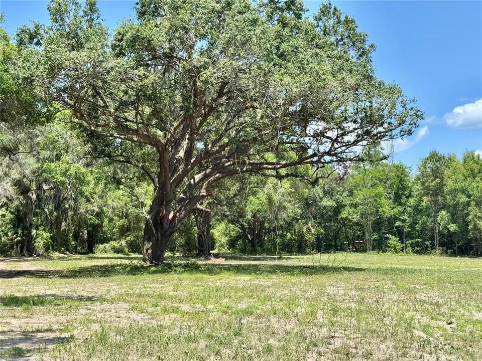 待售: $246,700 (7.49 acres)