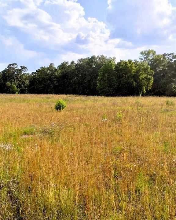 待售: $385,000 (6.07 acres)