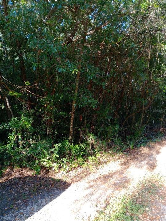 待售: $26,000 (0.51 acres)