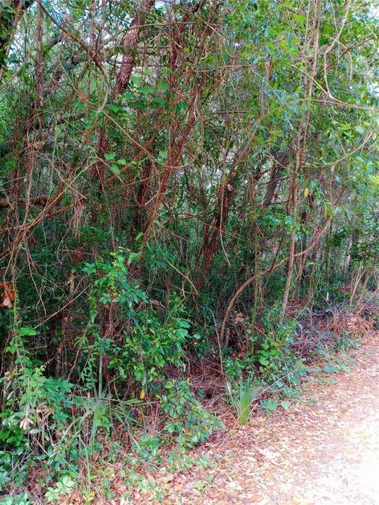 待售: $26,000 (0.51 acres)