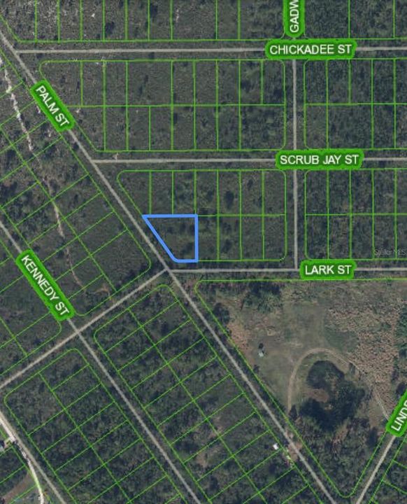 For Sale: $6,900 (0.30 acres)
