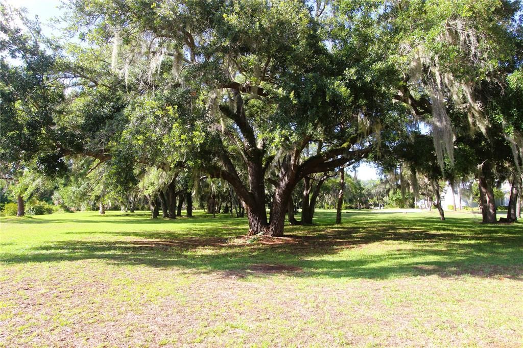 Active With Contract: $205,000 (2 beds, 2 baths, 1155 Square Feet)