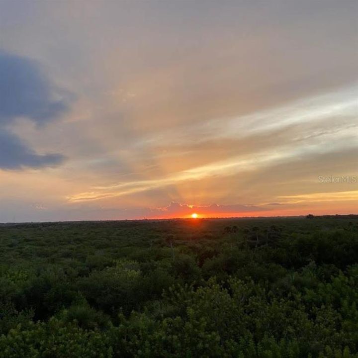 Activo con contrato: $439,000 (3 camas, 2 baños, 1600 Pies cuadrados)