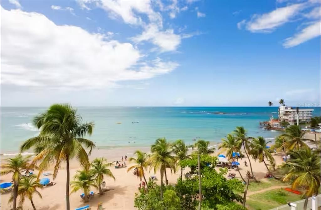 Под контрактом: $339,000 (1 спален, 1 ванн, 486 Квадратных фут)