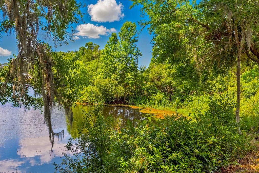 待售: $215,000 (1.80 acres)