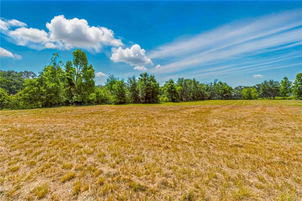 待售: $215,000 (1.80 acres)