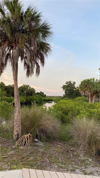 For Sale: $375,000 (0.25 acres)