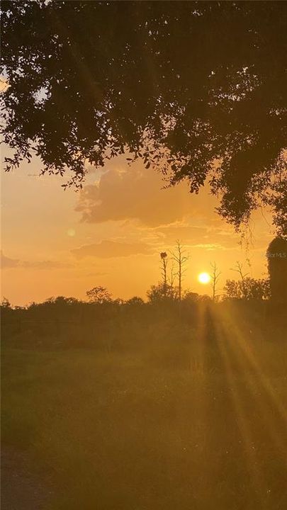 For Sale: $375,000 (0.25 acres)