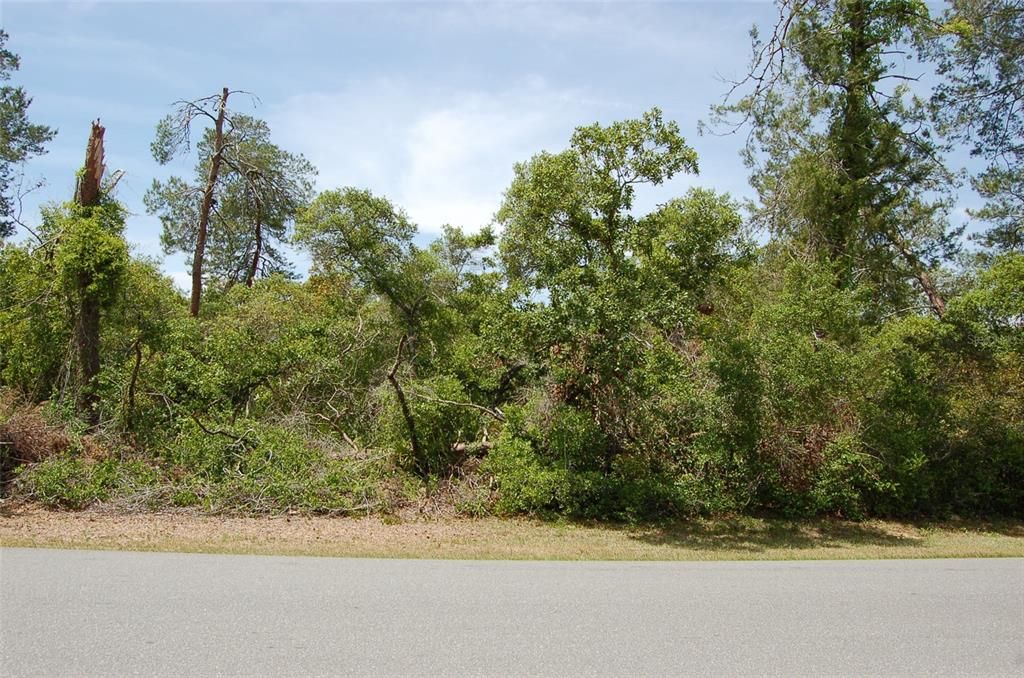 For Sale: $65,000 (0.62 acres)