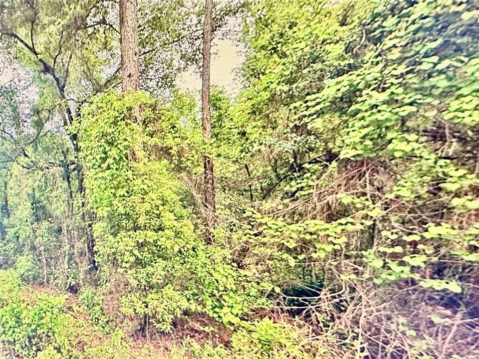 For Sale: $15,000 (0.23 acres)