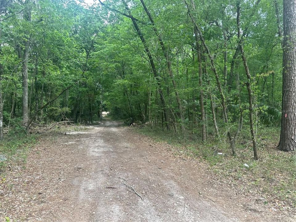 For Sale: $15,000 (0.25 acres)