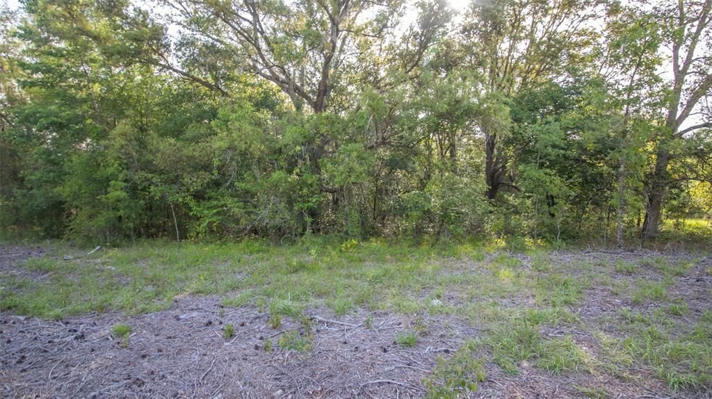 待售: $45,900 (1.10 acres)