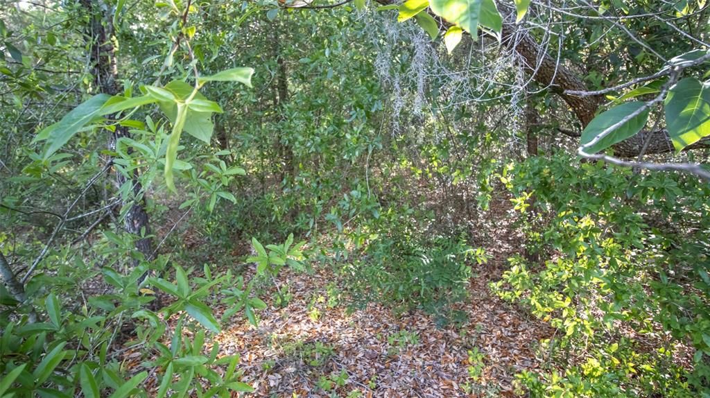 待售: $45,900 (1.10 acres)