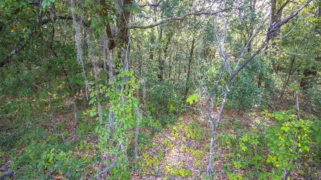 待售: $45,900 (1.10 acres)