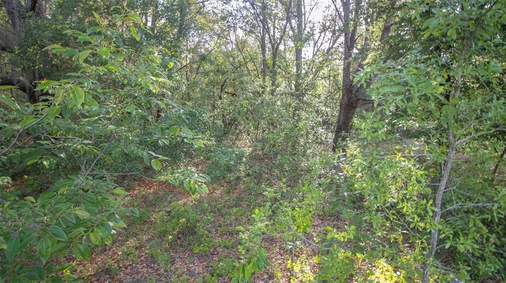 待售: $45,900 (1.10 acres)