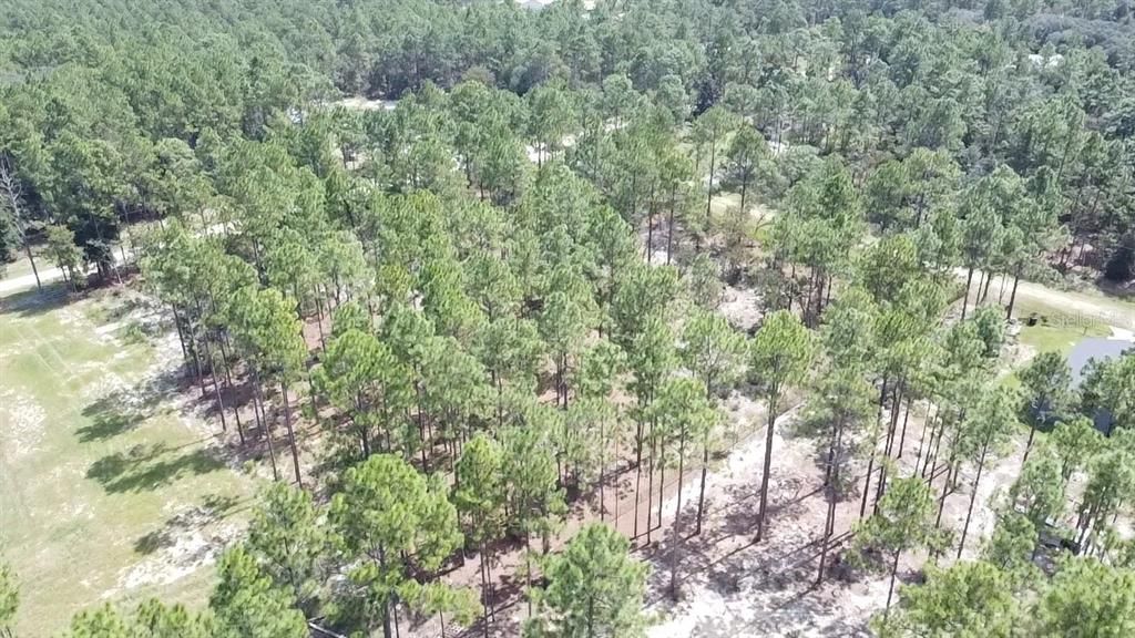 For Sale: $84,500 (1.07 acres)