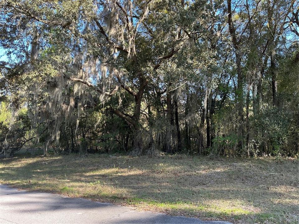 Activo con contrato: $32,450 (0.26 acres)