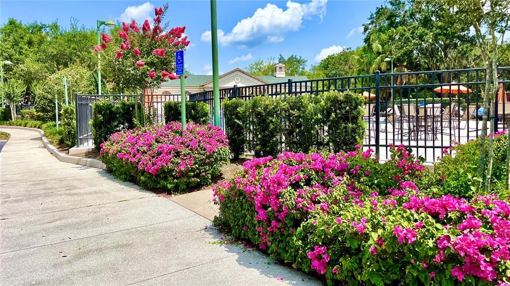 Activo con contrato: $485,000 (3 camas, 2 baños, 1460 Pies cuadrados)